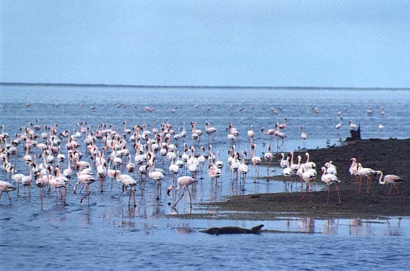 Walvis Bay